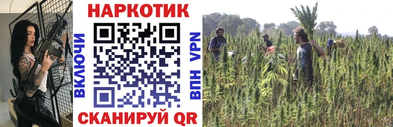 Как найти наркотики Новопавловск Псилоцибиновые грибы  НБОМе  Конопля 