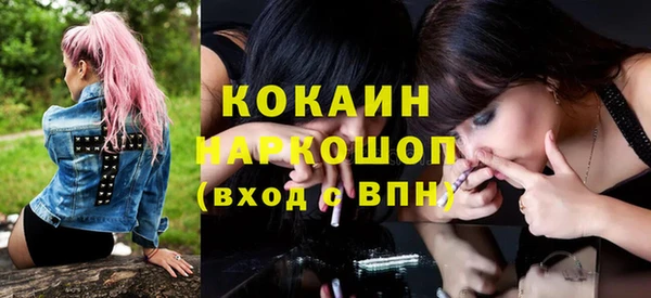 хмурый Алзамай